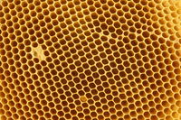 Beeswax