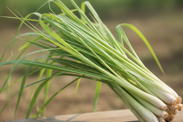 Lemongrass